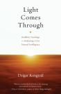 Light Comes Through - Preview