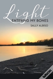 Capa do artigo Light Entering My Bones