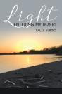 Light Entering My Bones - Preview