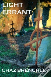Capa do artigo Light Errant