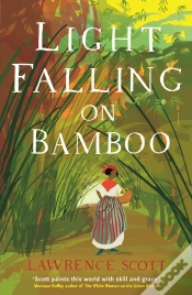 Capa do artigo Light Falling On Bamboo