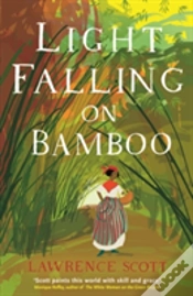 Capa do artigo Light Falling On Bamboo