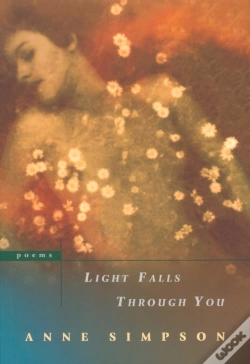 Capa do artigo Light Falls Through You