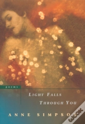 Capa do artigo Light Falls Through You