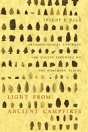 Light From Ancient Campfires - Preview