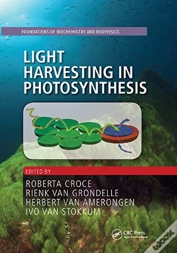 Capa do artigo Light Harvesting In Photosynthesis