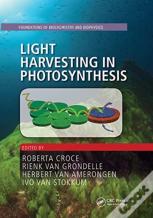 Light Harvesting In Photosynthesis