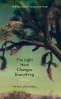 Light Here Changes Everything - Preview