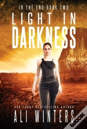 Capa do artigo Light In Darkness