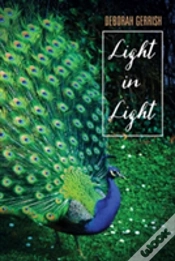 Capa do artigo Light In Light