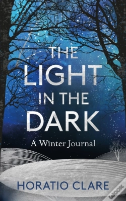 Capa do artigo Light In The Dark
