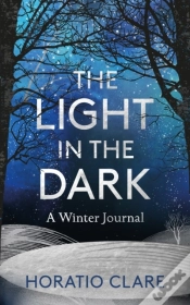 Capa do artigo Light In The Dark