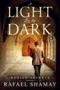 Light In The Dark - Preview