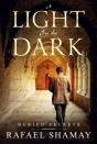 Light In The Dark - Preview