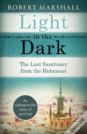Capa do artigo Light In The Dark