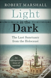 Capa do artigo Light In The Dark
