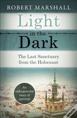 Capa do artigo Light In The Dark