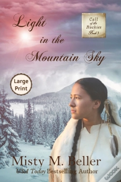 Capa do artigo Light In The Mountain Sky