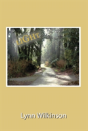 Light - Preview
