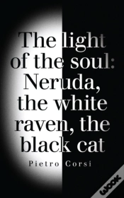 Capa do artigo Light Of The Soul