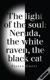 Capa do artigo Light Of The Soul