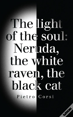 Capa do artigo Light Of The Soul