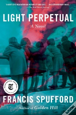 Capa do artigo Light Perpetual