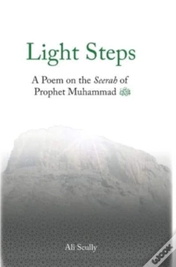 Capa do artigo Light Steps