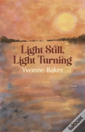 Capa do artigo Light Still, Light Turning