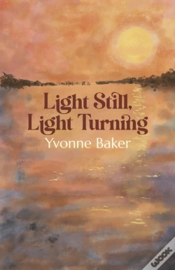 Capa do artigo Light Still, Light Turning