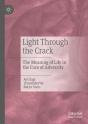 Light Through The Crack - Preview