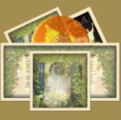 Capa do artigo Light Up - Vinil