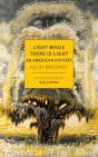 Light While There Is Light - Preview