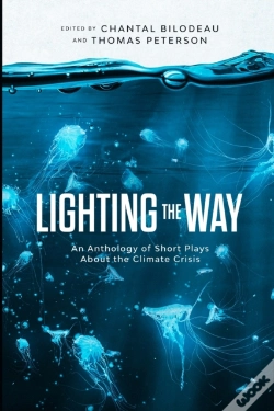Capa do artigo Lighting The Way