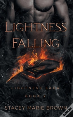Capa do artigo Lightness Falling