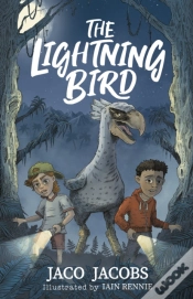 Capa do artigo Lightning Bird