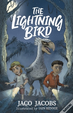 Capa do artigo Lightning Bird