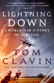 Capa do artigo Lightning Down