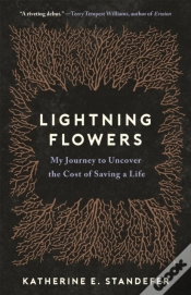 Capa do artigo Lightning Flowers