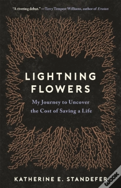 Capa do artigo Lightning Flowers