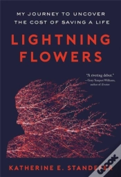 Capa do artigo Lightning Flowers