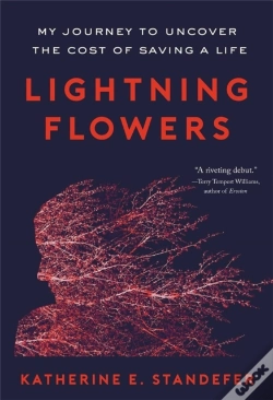 Capa do artigo Lightning Flowers