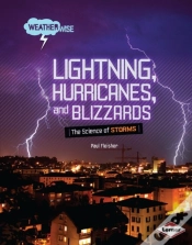 Capa do artigo Lightning, Hurricanes, And Blizzards
