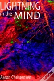 Capa do artigo Lightning In The Mind