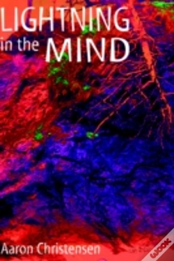 Capa do artigo Lightning In The Mind
