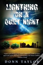 Capa do artigo Lightning On A Quiet Night