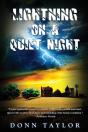 Lightning On A Quiet Night - Preview