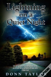 Capa do artigo Lightning On A Quiet Night
