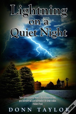Capa do artigo Lightning On A Quiet Night