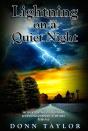 Lightning On A Quiet Night - Preview